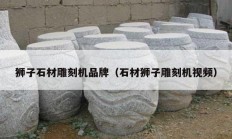 狮子石材雕刻机品牌（石材狮子雕刻机视频）