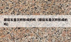 蘑菇石是沉积形成的吗（蘑菇石是沉积形成的吗）