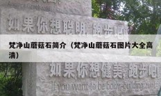 梵净山蘑菇石简介（梵净山蘑菇石图片大全高清）