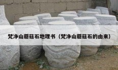 梵净山蘑菇石地理书（梵净山蘑菇石的由来）