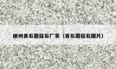 郴州青石蘑菇石厂家（青石蘑菇石图片）
