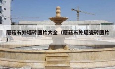 蘑菇石外墙砖图片大全（蘑菇石外墙瓷砖图片）