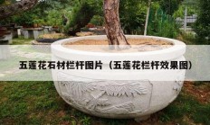 五莲花石材栏杆图片（五莲花栏杆效果图）