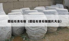 蘑菇石青石板（蘑菇石青石板图片大全）
