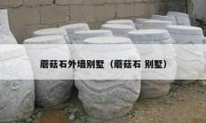 蘑菇石外墙别墅（蘑菇石 别墅）