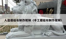 人造蘑菇石制作视频（手工蘑菇石制作视频）