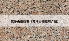 梵净山蘑菇石（梵净山蘑菇石介绍）