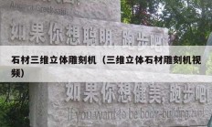 石材三维立体雕刻机（三维立体石材雕刻机视频）