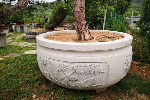 花坛景观效果（花坛景观效果图）