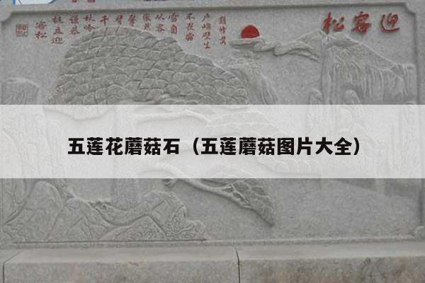 五莲花蘑菇石(五莲蘑菇图片大全)