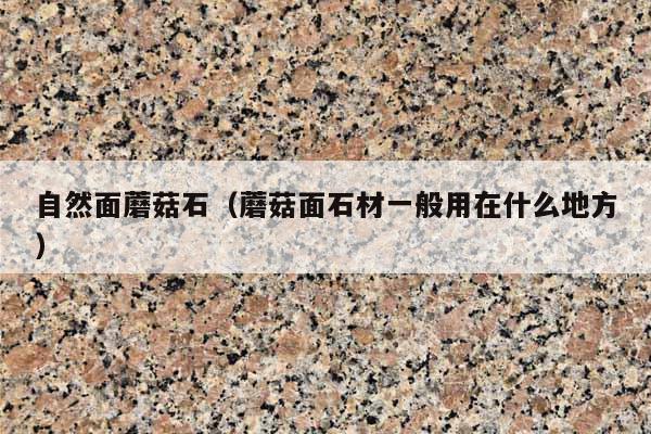 自然面蘑菇石(蘑菇面石材一般用在什么地方)