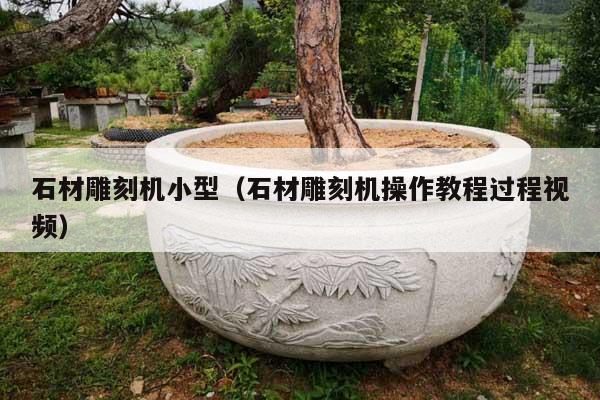 石材雕刻机小型(石材雕刻机操作教程过程视频)