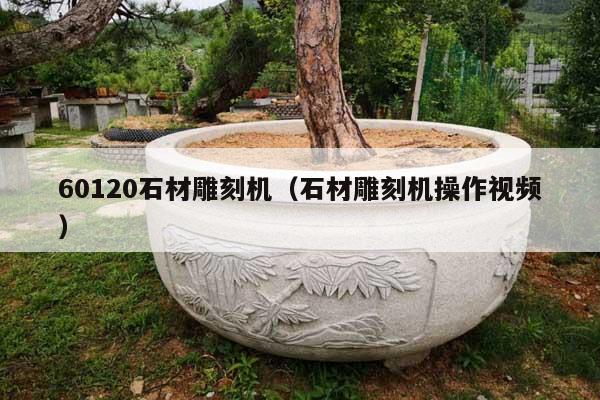 60120石材雕刻机(石材雕刻机操作视频)
