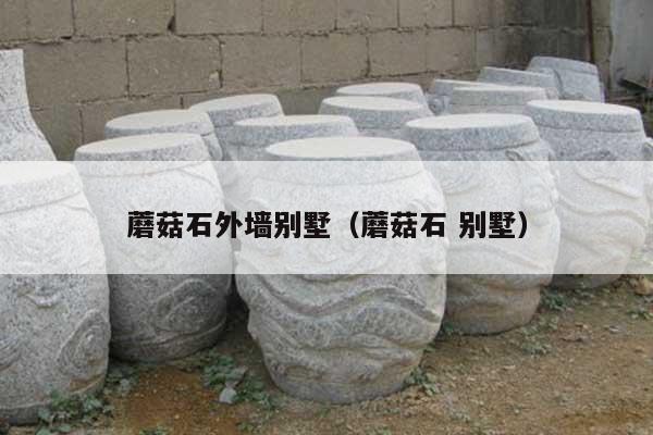 蘑菇石外墙别墅(蘑菇石 别墅)