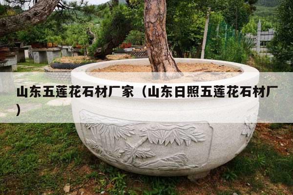 山东五莲花石材厂家(山东日照五莲花石材厂)