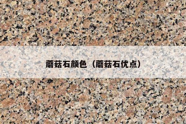 蘑菇石颜色(蘑菇石优点)