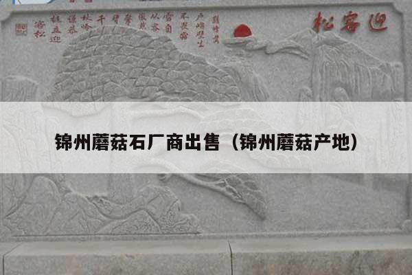 锦州蘑菇石厂商出售(锦州蘑菇产地)