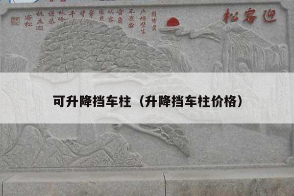 可升降挡车柱(升降挡车柱价格)