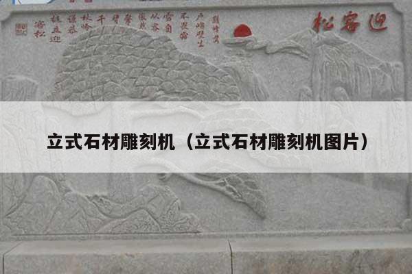 立式石材雕刻机(立式石材雕刻机图片)