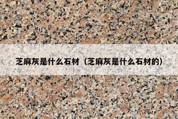 芝麻灰是什么石材(芝麻灰是什么石材的)