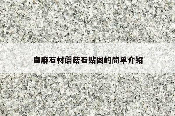 白麻石材蘑菇石贴图的简单介绍