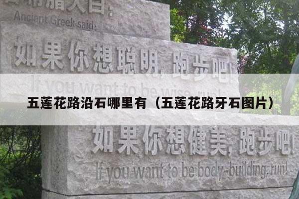 五莲花路沿石哪里有(五莲花路牙石图片)