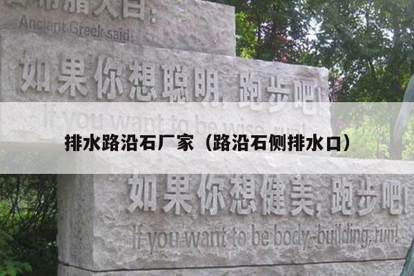 排水路沿石厂家(路沿石侧排水口)