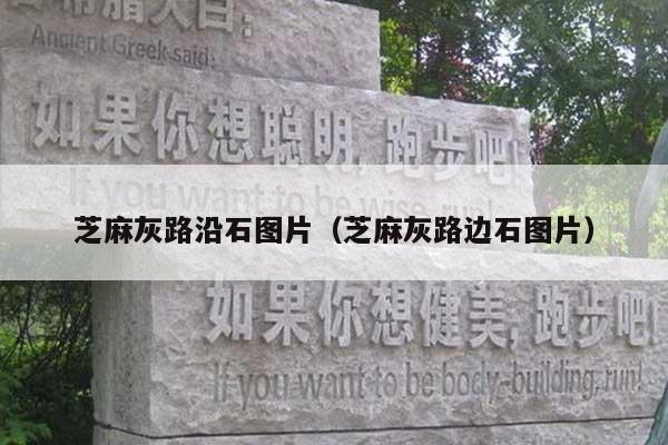 芝麻灰路沿石图片(芝麻灰路边石图片)